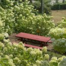 울산 어물동 마애약사여래삼존상 이미지