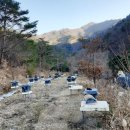 김광석 농장 이미지