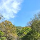 지은이네 민박 이미지