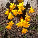 원불교대학원대학교 이미지