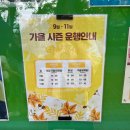 대구 팔공산 케이블카 가격 할인 흐린 주말 방문 후기
