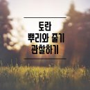 굼벵이효능,굼벵이부작용,김장배추 재배방법,김장하는시기,김장하는방법,토란 말리는 방법과 토란의 효능 이미지