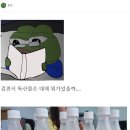 돈찐) 지례는 김천 흑돼지 마을.jpg 이미지