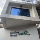 토리아이풀빌라스파1동 | 원주 치악산 가족여행 힐링펜션 힐링포레스트