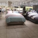 코지네스트현대 이미지