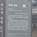 종오정 | [경주] 종오정의 가을, 배롱나무 꽃물결에 마음을 빼앗기다(2024.09.02)
