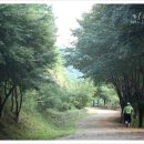 장동산림욕장 이미지