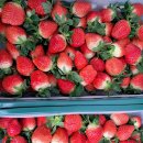 지희농장 이미지