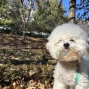 옐레드 동탄예당점 이미지