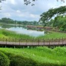 시민문화체육공원 산책로 이미지