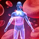 비타민신통 이미지