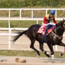 만배축산 이미지