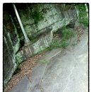 함안 용산리 함안층 새발자국화석 산지 | [경남] 간만에 나무여행 … (2) 함안 용산리 함안층 새발자국 화석산지 (천연기념물 제222호)