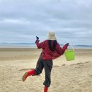 CU울산동부점 | 🌊태안 해루질펜션추천/청포대해수욕장 #태안팜비치펜션 🦀🦞🐚