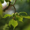 도자기(저녁) 이미지