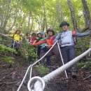 축령산아침 이미지
