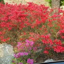 갈월공원 이미지