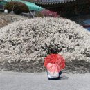 예곡마을회관 이미지