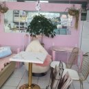 비비펫살롱 이미지