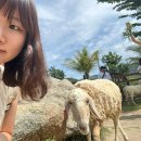 소민할인마트 | 행복했던 나트랑에서 🇻🇳💕