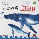 마음주머니곰
