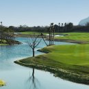 테디벨리골프장 4 이미지