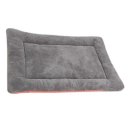 오로라펫 이미지