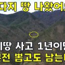 이게 실화냐~국유림아래 계곡물 흐르는 밭647평 1400만원인데 1년이면 본전 뽑고도 남는다[땅지통] 이미지