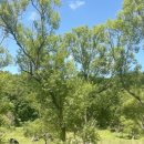 한우마을목장2 이미지