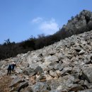 달마고도 이미지