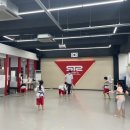 STS한국체대태권도 이미지