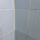 셀타운 네이버블로그