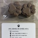제주댕댕스푼 이미지
