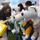 개멋지개 이미지