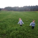 혁신목장 이미지