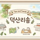 덕산유동점 | 덕산리솜 포레스트 이용 팁과 최근 예약 흐름 정리