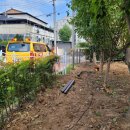 동포어린이공원 이미지