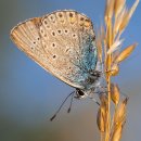 탑산스크린골프존 이미지