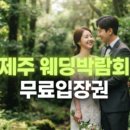 엠포토그라피 | 더아워·오드리테일러·아이엠워리·흘필름… 제주 웨딩스냅 최신 소식 한눈에