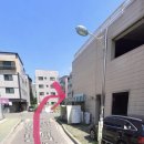 달고나 펫살롱 이미지