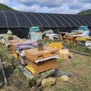 응애농원 이미지