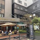 강남아르누보씨티호텔 | 강남역 스시오마카세 키라쿠런치