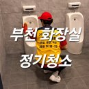 돌핀크린 이미지