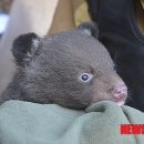 지리산밧데리 이미지