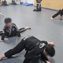 강류합기도목동도장