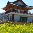 경주초우오토캠핑장 이미지