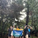 (주)솔마루 이미지