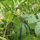 오곡농장 이미지