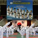 용인대 태권도 체육관 이미지