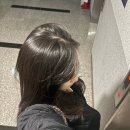 공유헤어 | 탈모샴푸 후기공유 닥터포헤어 (feat. Kt 고객보답 할인 구매)